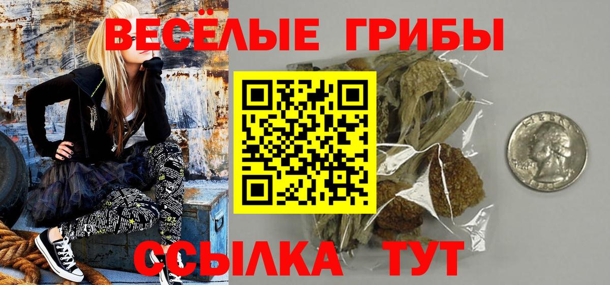Псилоцибиновые грибы мицелий Каспийск